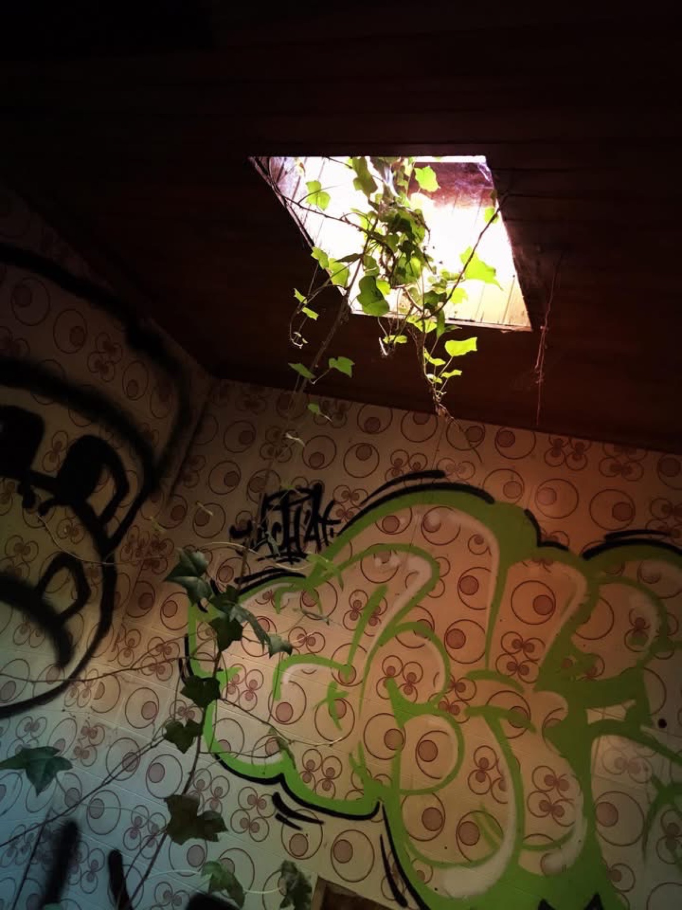 Urban detail with skylight and graffiti